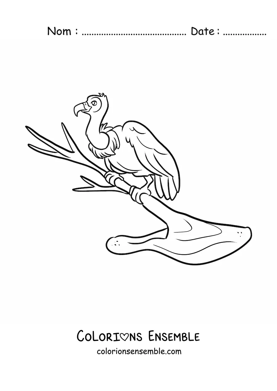 Image à colorier d'un vautour du désert