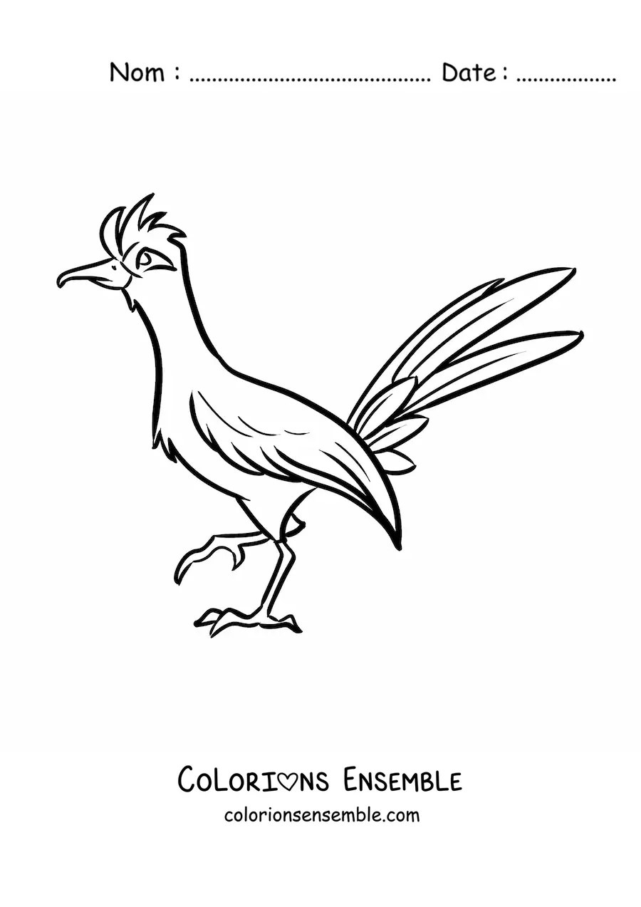 Image à colorier d'un grand géocoucou