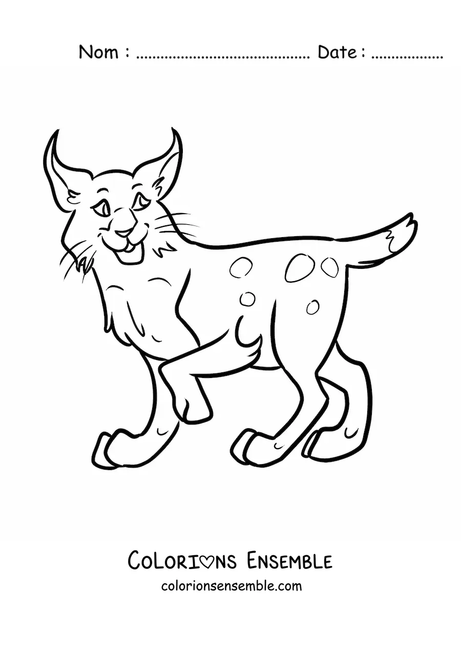 Image à colorier d'un lynx du désert