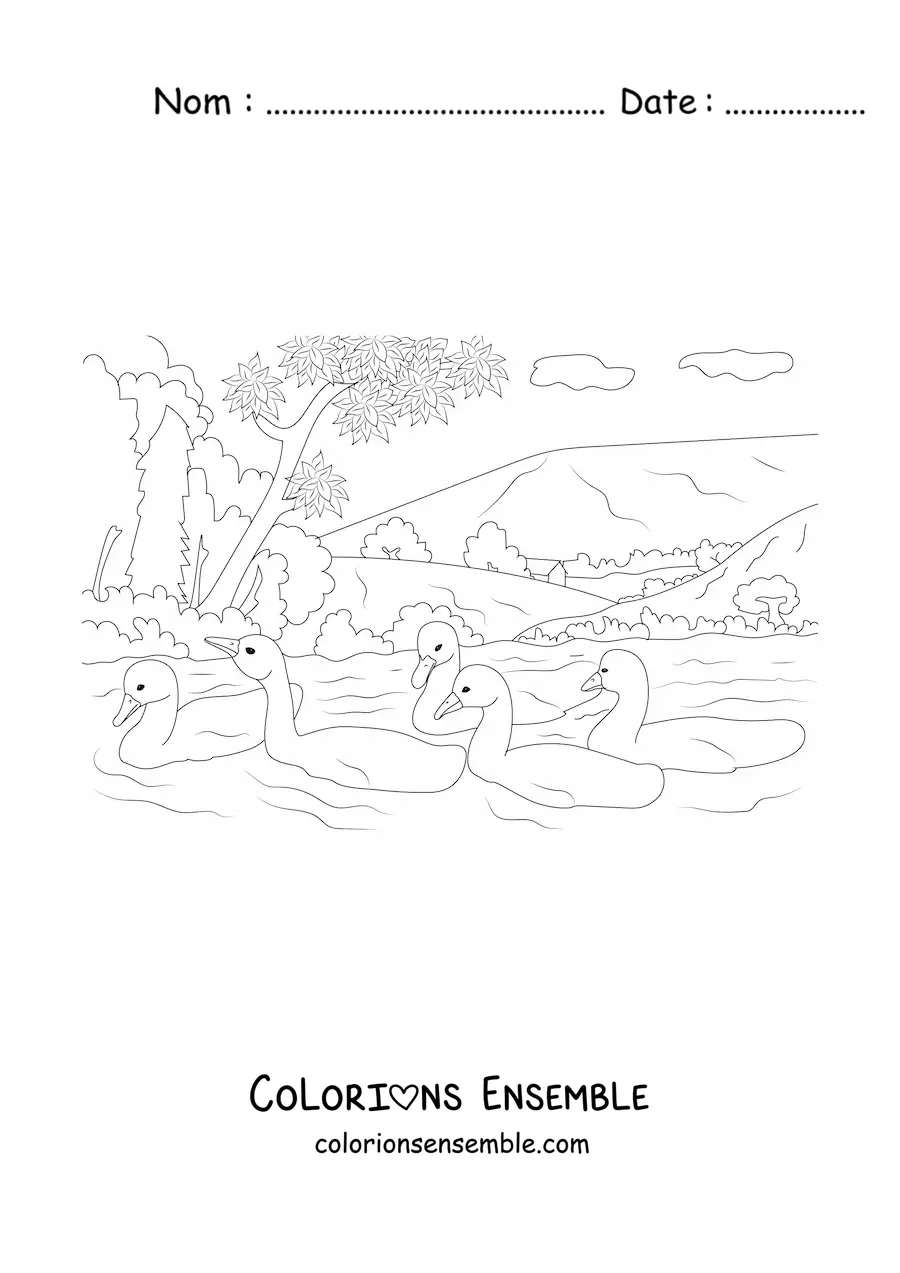 Image à colorier d'un lac avec des cygnes