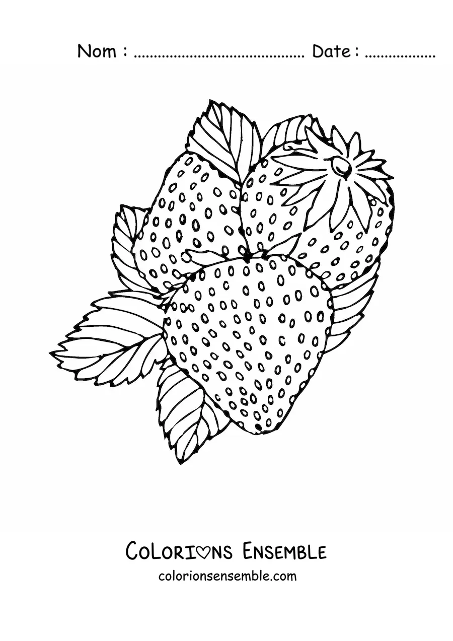Image à colorier de trois fraises des bois avec leurs feuilles
