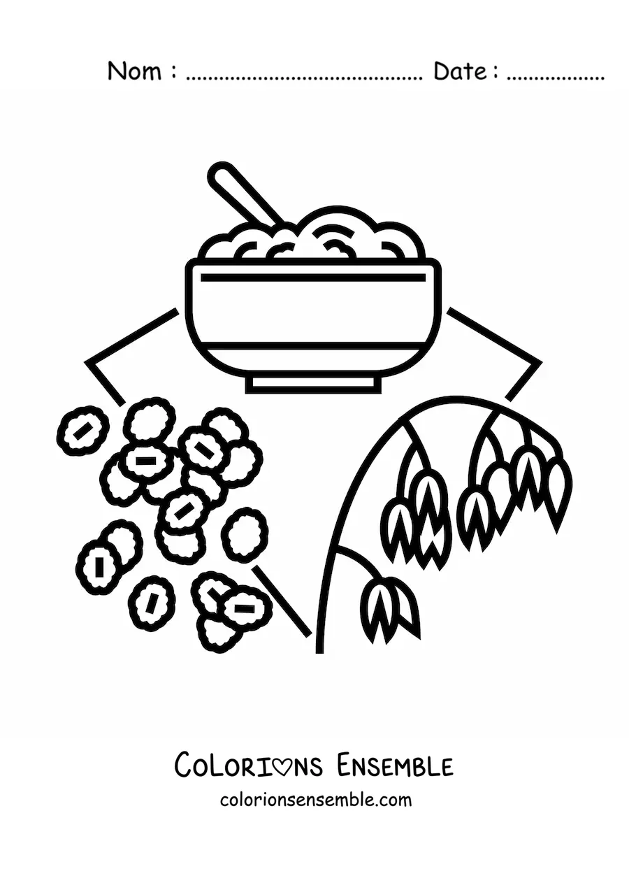 Image à colorier de plusieurs types de céréales