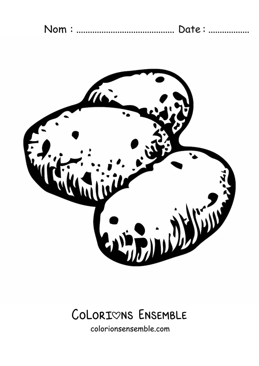 Image à colorier de trois pommes de terre crues