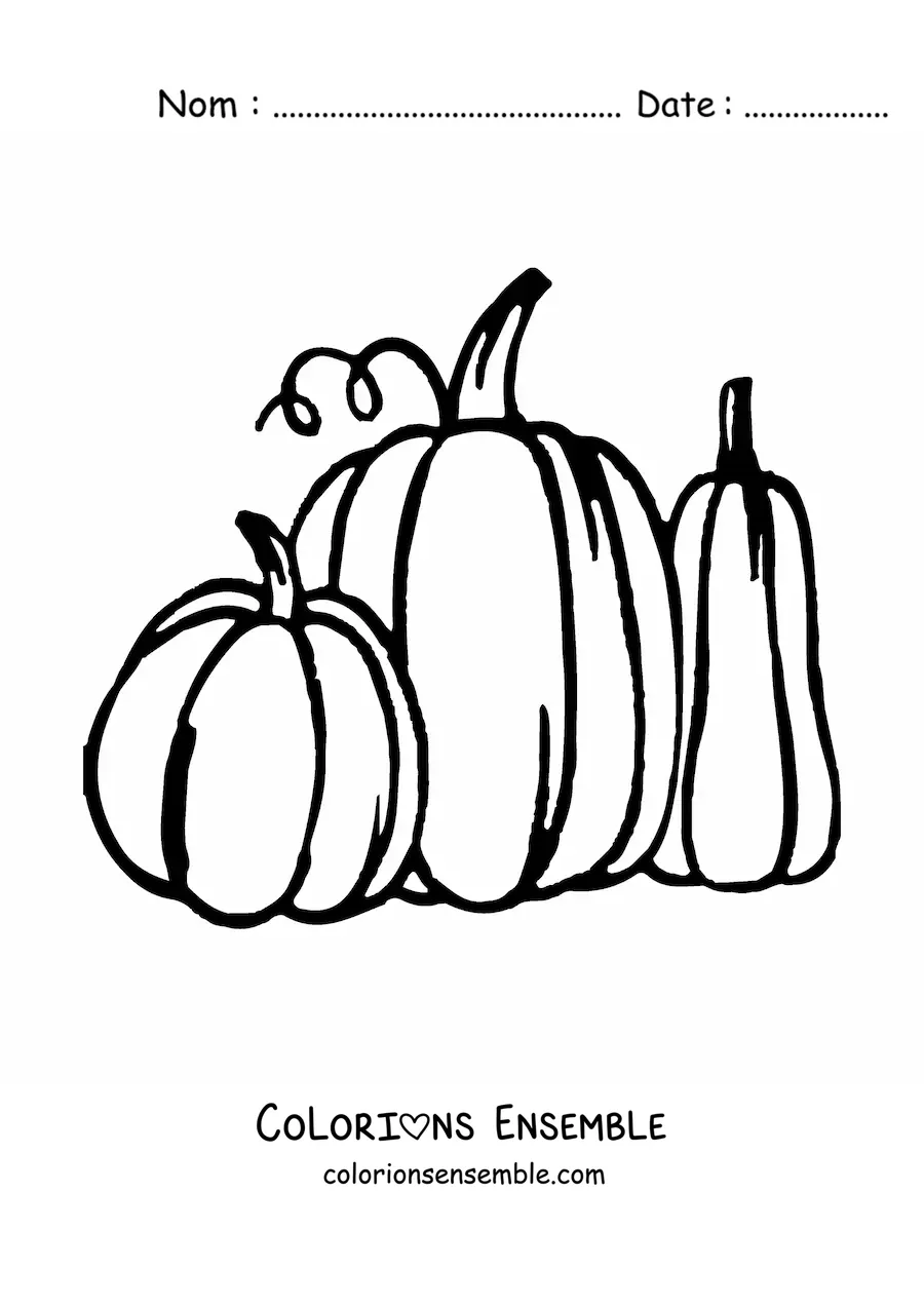 Image à colorier de trois citrouilles