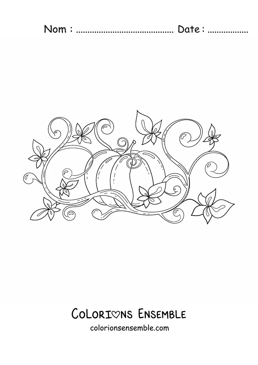 Image à colorier d'un champ de citrouilles