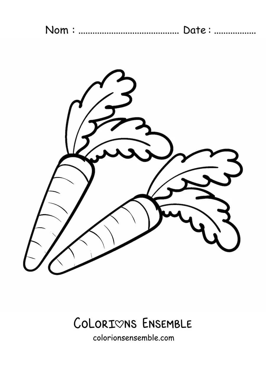 Image à colorier de deux carottes avec leurs feuilles