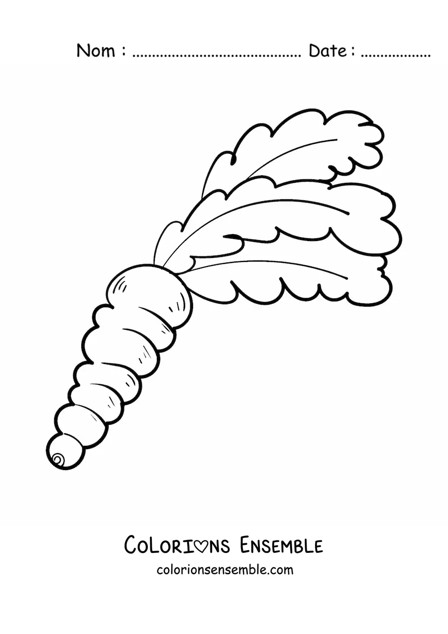 Image à colorier d'une carotte avec de belles feuilles touffues