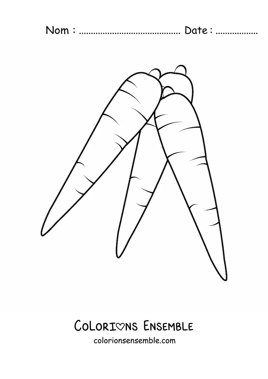 Image à colorier de trois carottes sans feuilles