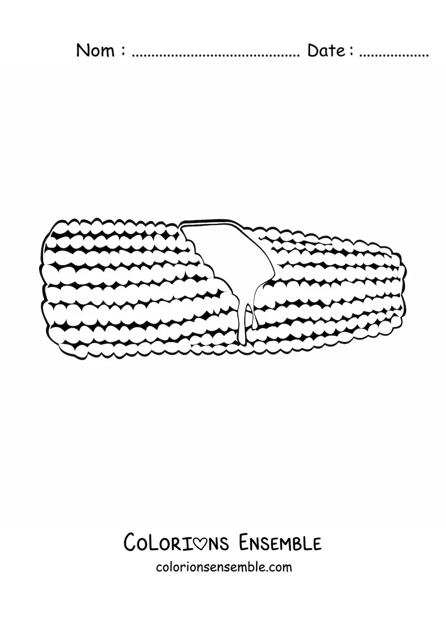 Image à colorier d’un épi de maïs avec du beurre