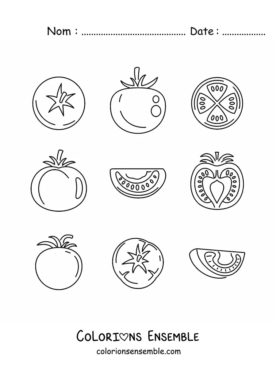 Image à colorier des différentes parties de la tomate
