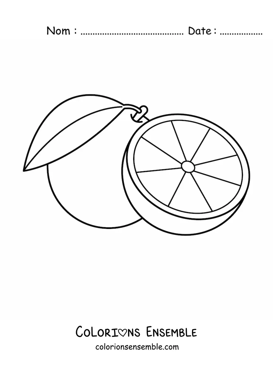 Image à colorier d'une orange et d'une demi-orange