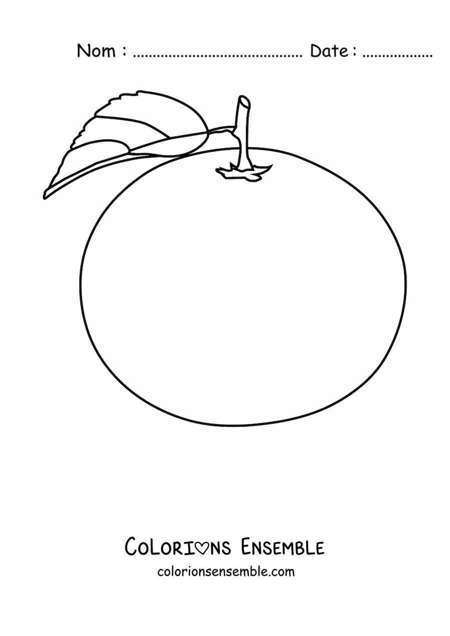 Image à colorier d'une orange avec une feuille et une tige