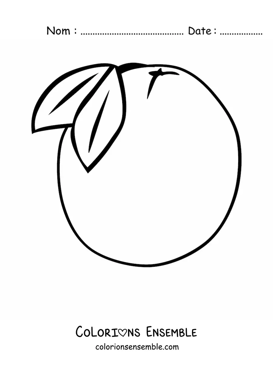 Image à colorier d'une orange avec deux feuilles