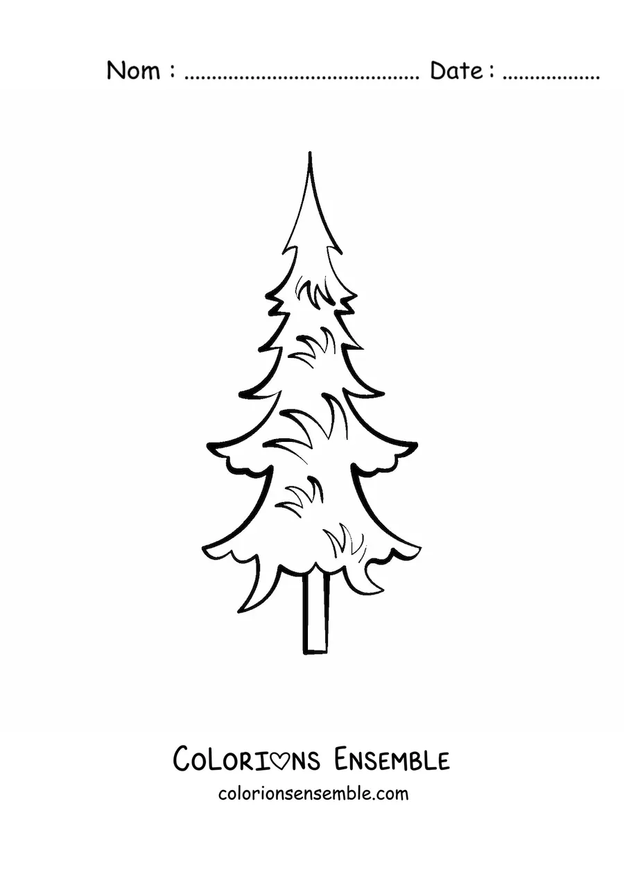 Image à colorier d’un pin tout simple