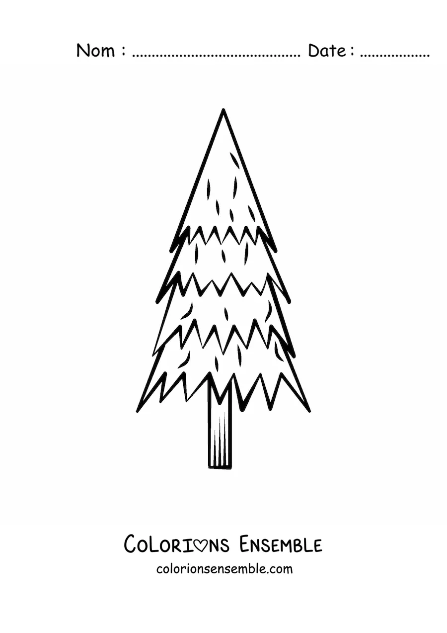 Image à colorier d’un pin