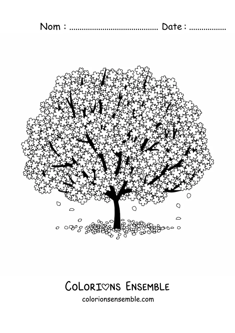 Image à colorier d’un cerisier en fleurs