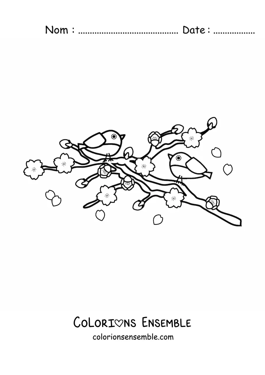 Image à colorier de deux oiseaux posés dans un cerisier
