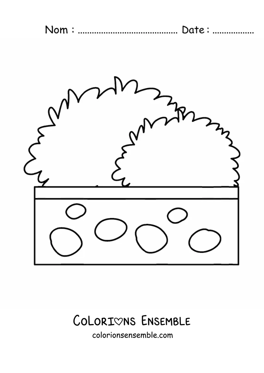 Image à colorier d’un buisson dans un pot