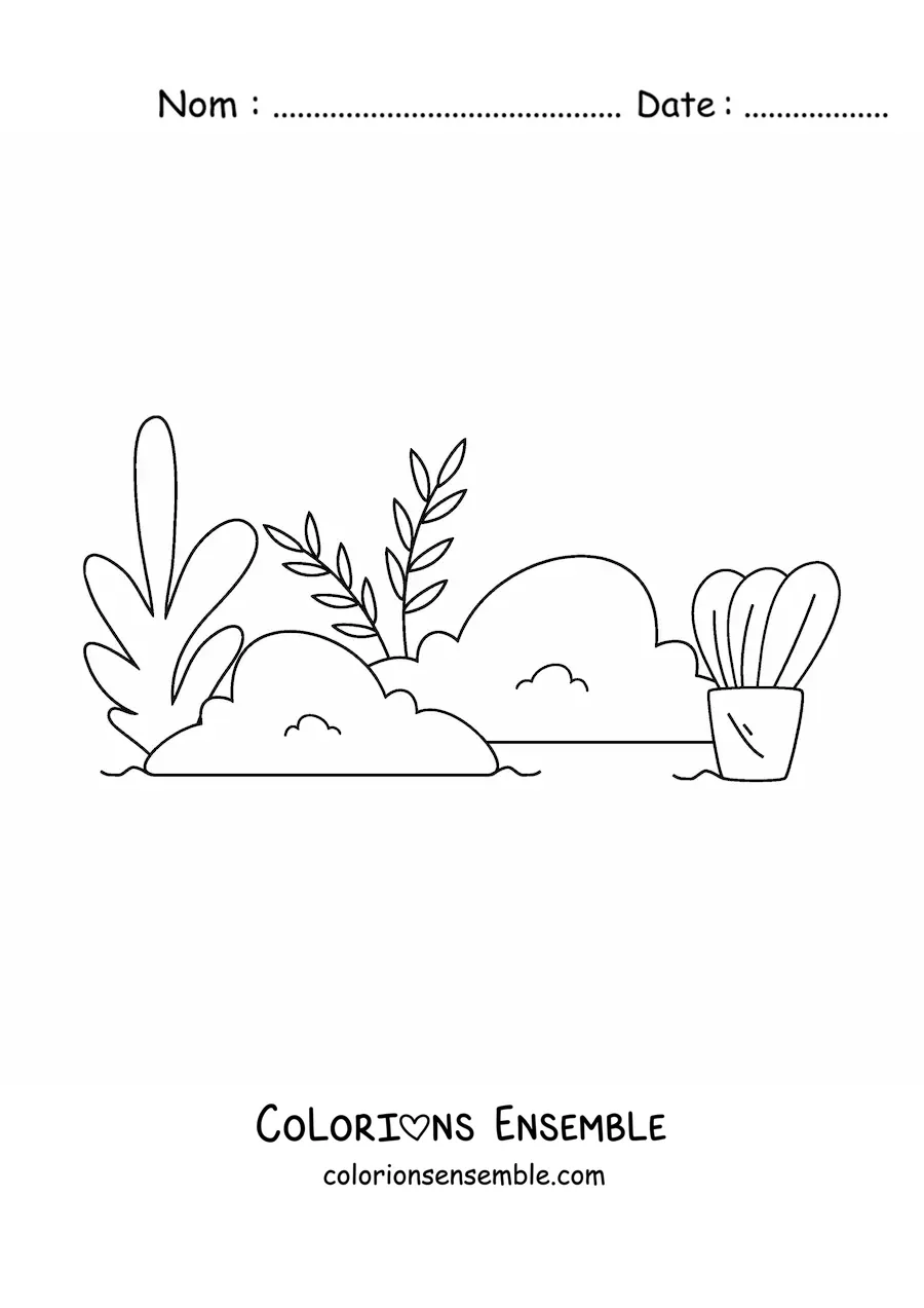 Image à colorier de plusieurs buissons et herbes