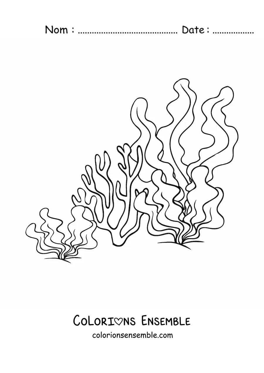 Image à colorier d’algues et d’un corail
