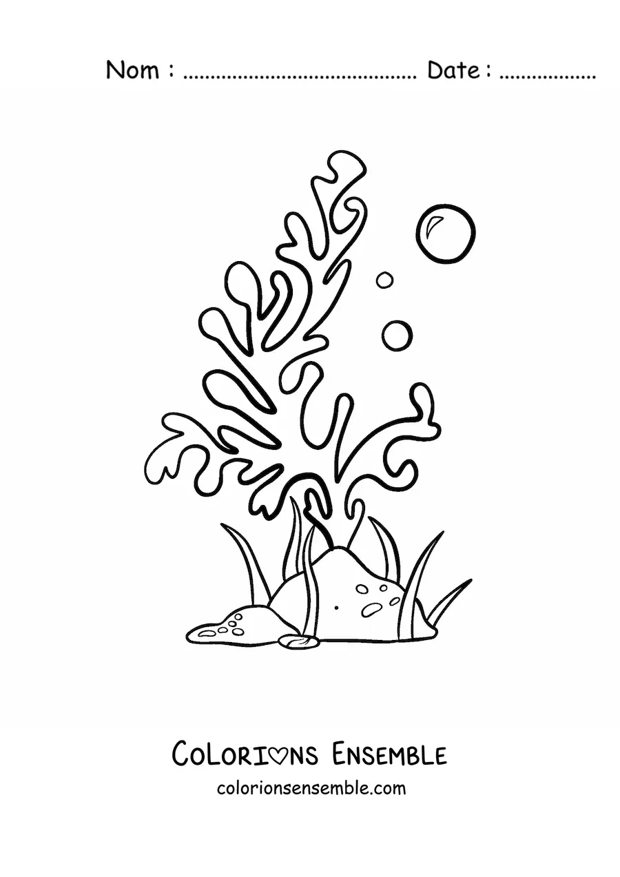 Image à colorier d’une algue marine avec deux bulles à côté d’un rocher