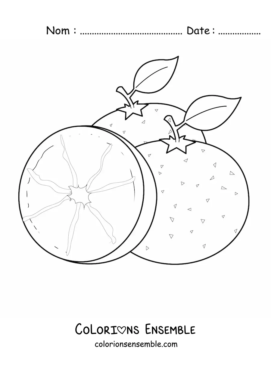 Image à colorier de deux oranges et d'une demi-orange