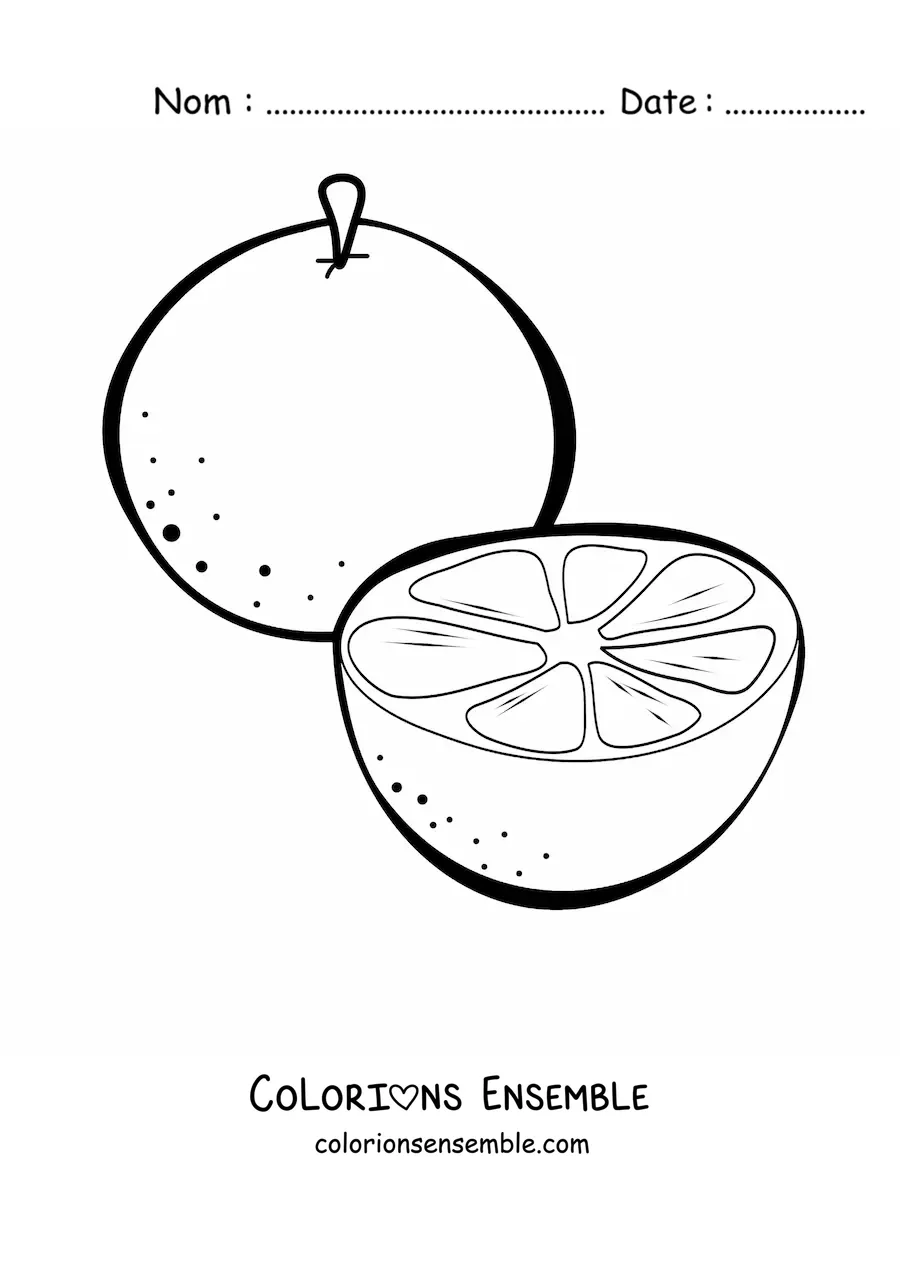 Image à colorier d'une orange et demie