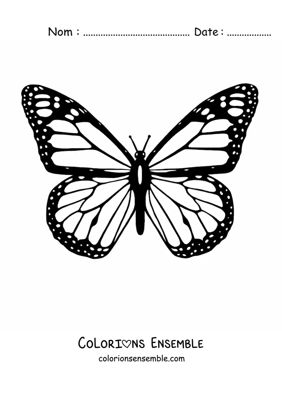 Image à colorier d'un papillon monarque aux ailes ouvertes