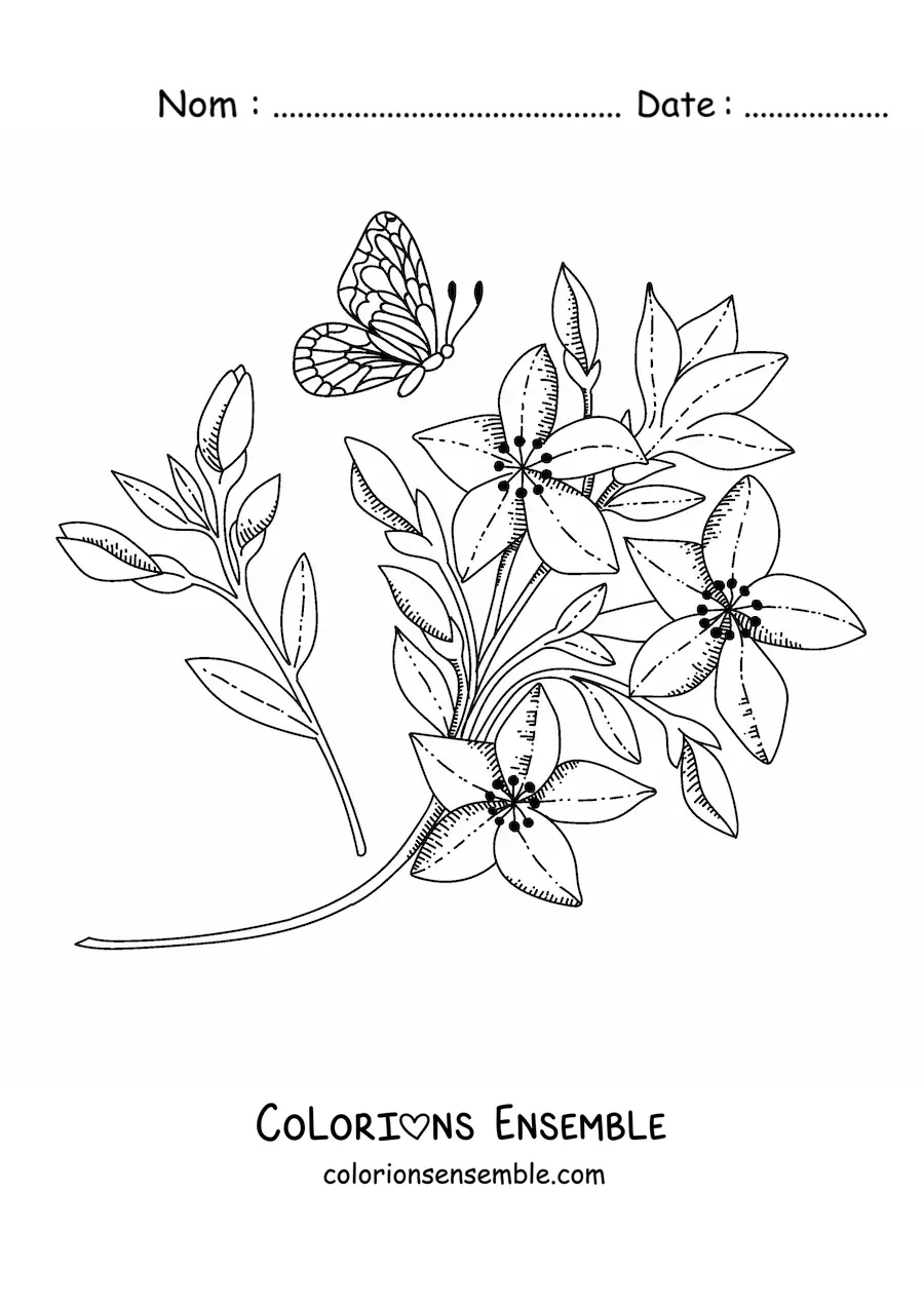 Image à colorier d'un papillon qui vole vers des fleurs