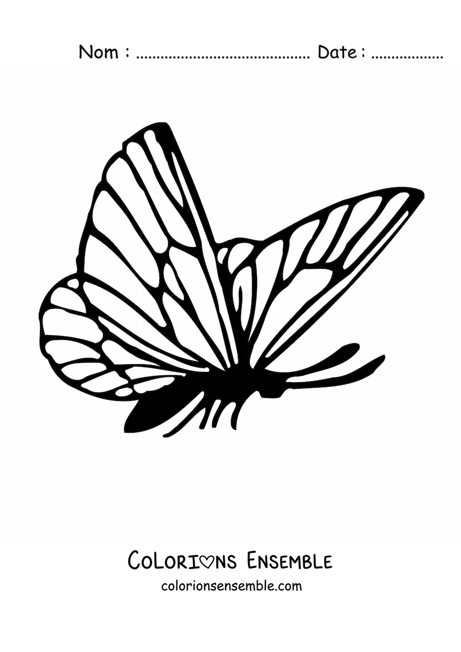 Image à colorier d'un papillon de profil