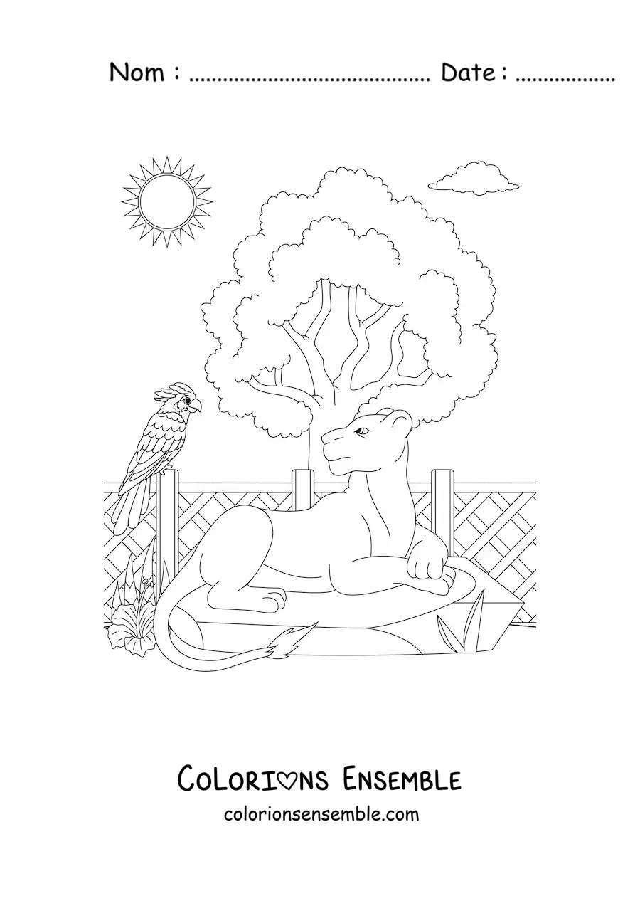 Image à colorier d'une lionne allongée près d'un oiseau et d'un arbre au zoo