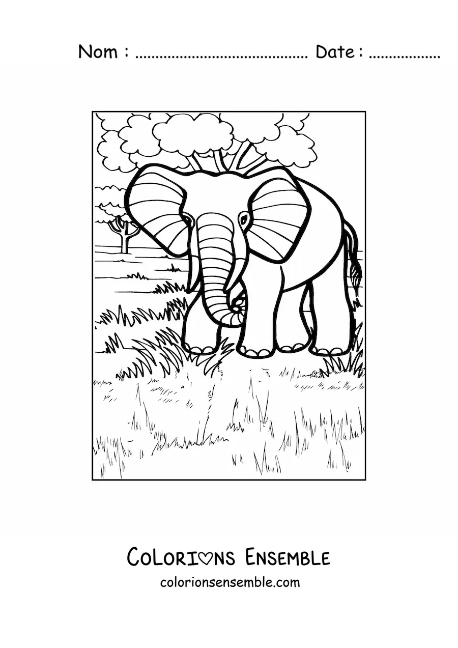 Image à colorier d'un éléphant posant dans son habitat naturel