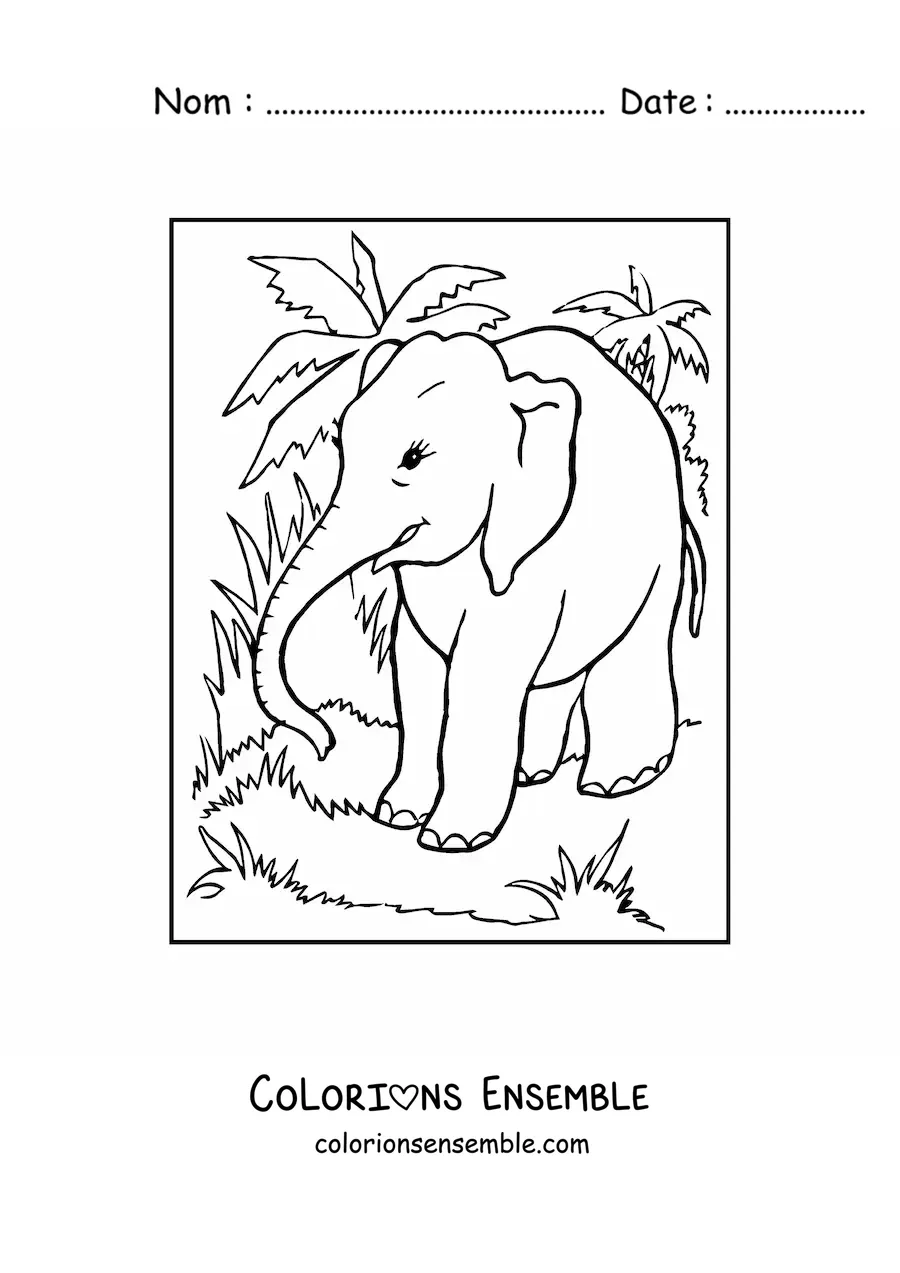 Image à colorier d'un éléphant se promenant dans la jungle