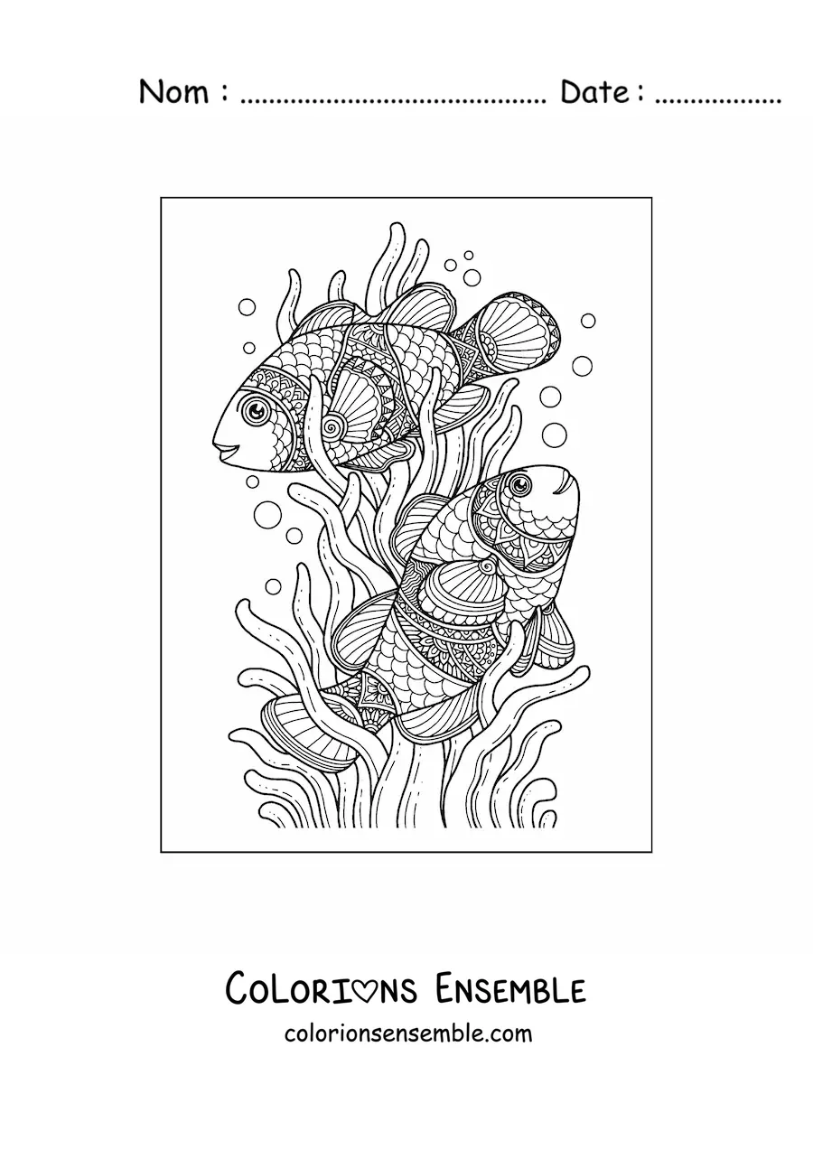 Image à colorier de deux poissons nageant parmi les algues marines