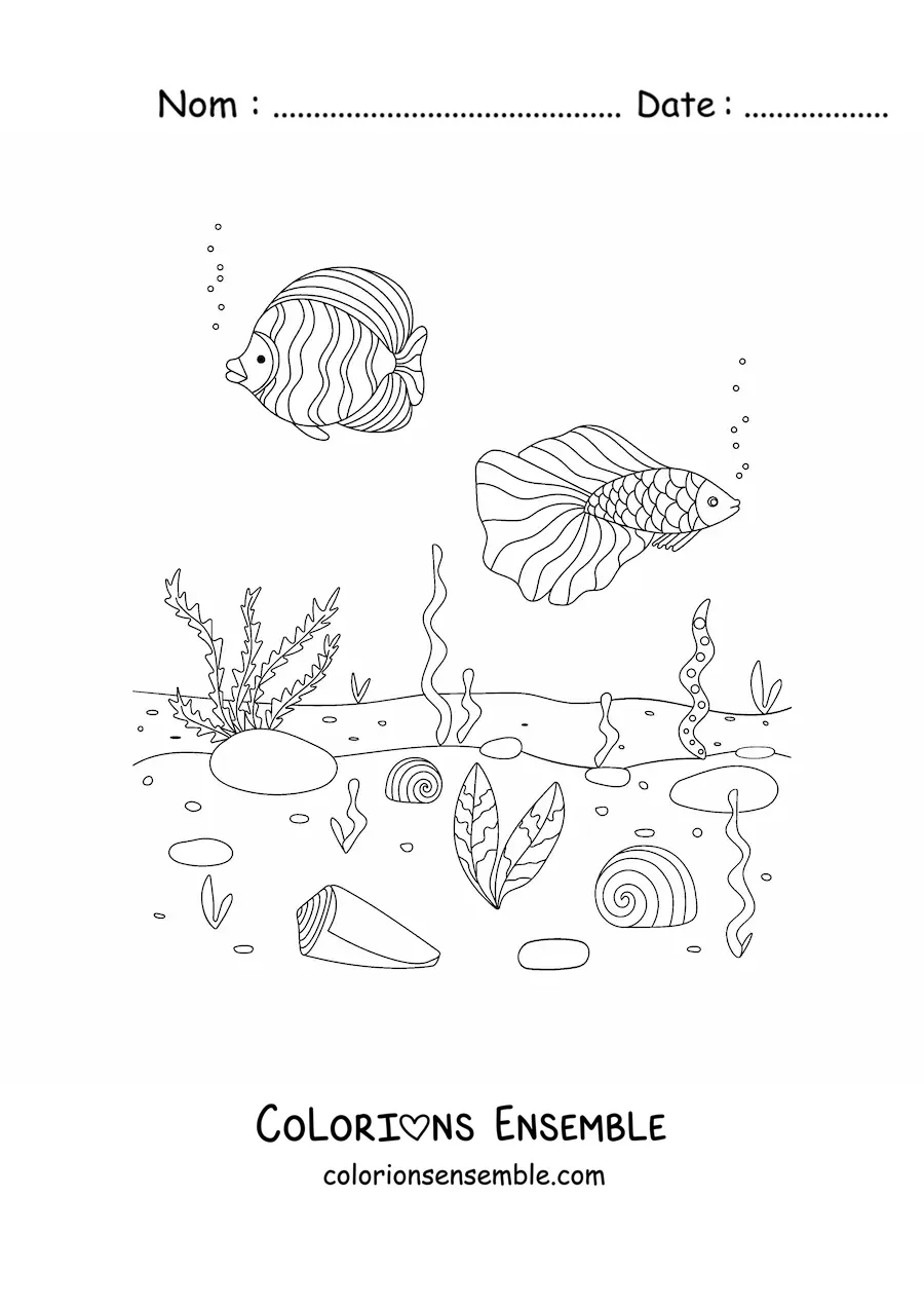Image à colorier de deux poissons au fond de la mer avec des coraux et des algues marines