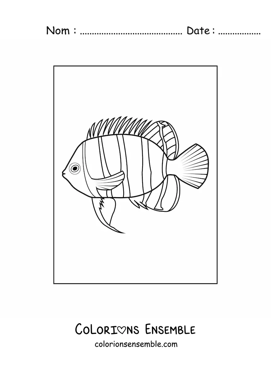 Image à colorier d'un poisson avec des lignes verticales sur le corps