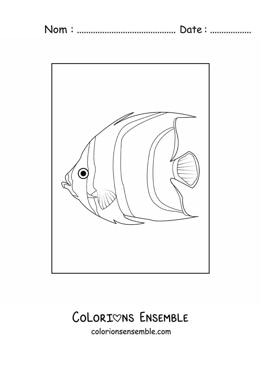 Image à colorier d'un poisson-ange réaliste