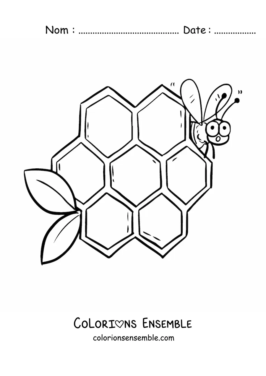 Image à colorier d'une abeille animée à côté des alvéoles d'un rayon de miel