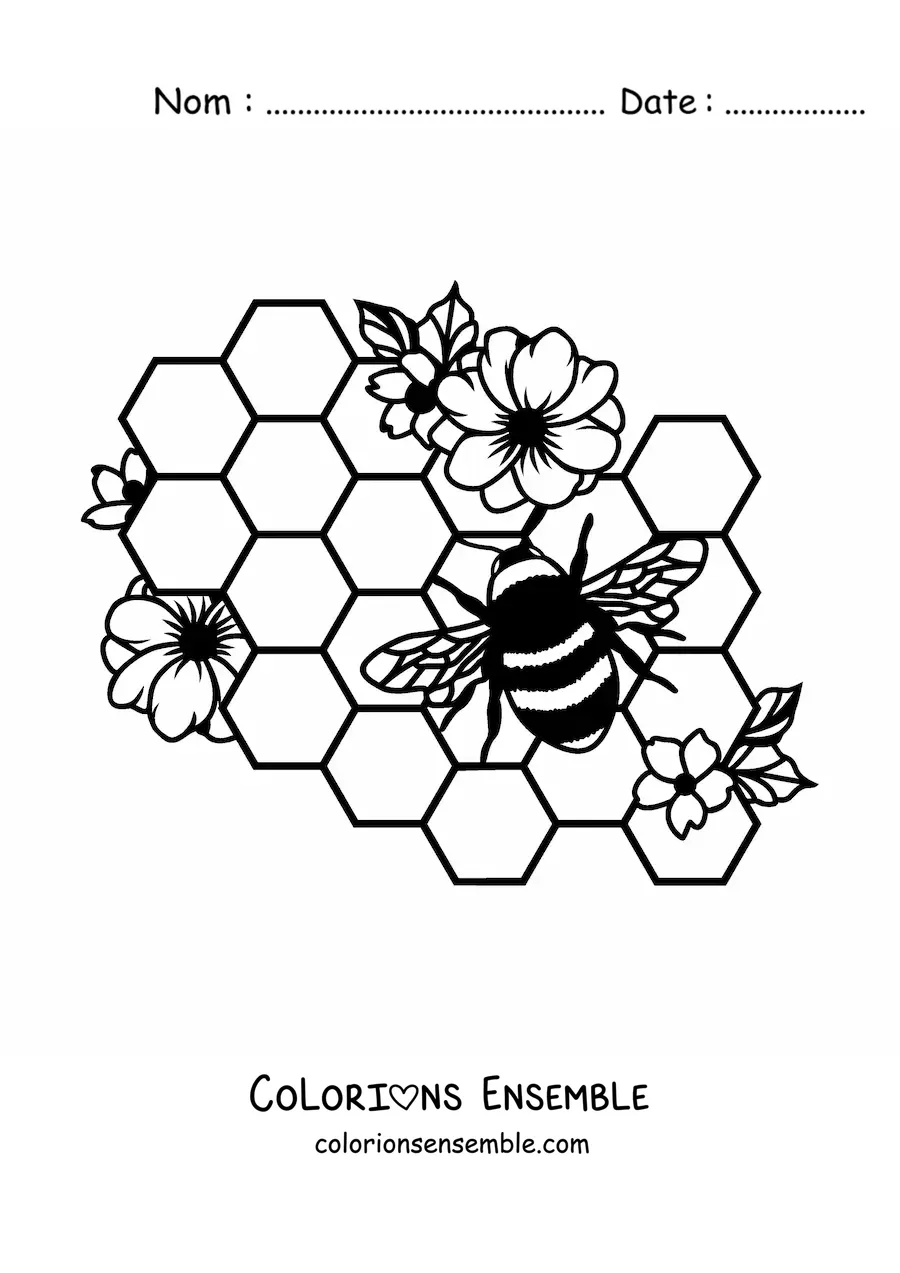 Image à colorier d'une abeille qui vole au-dessus des alvéoles d'un rayon de miel entouré de fleurs
