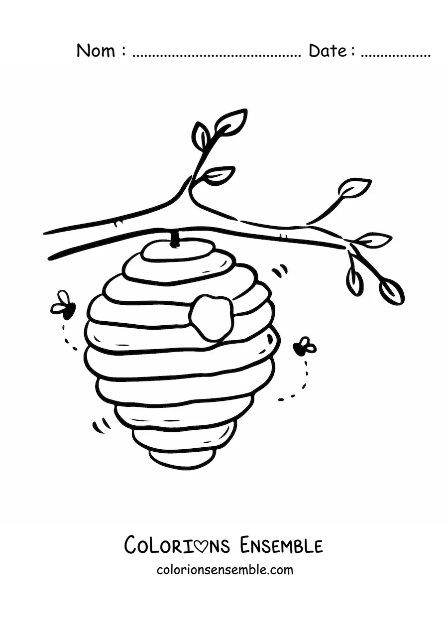 Image à colorier d'un rayon de miel suspendu à une branche