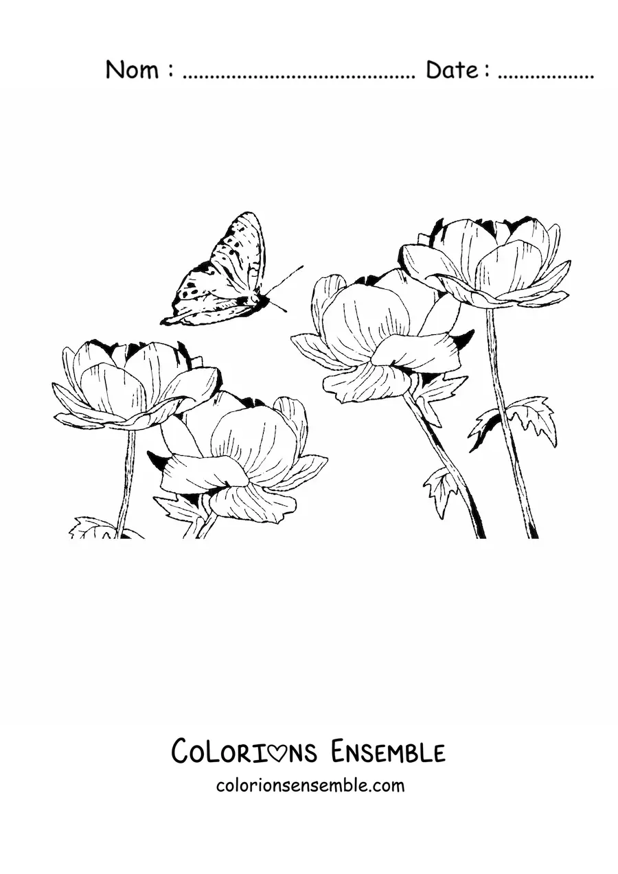 Image à colorier d'un papillon qui vole au-dessus de fleurs sauvages