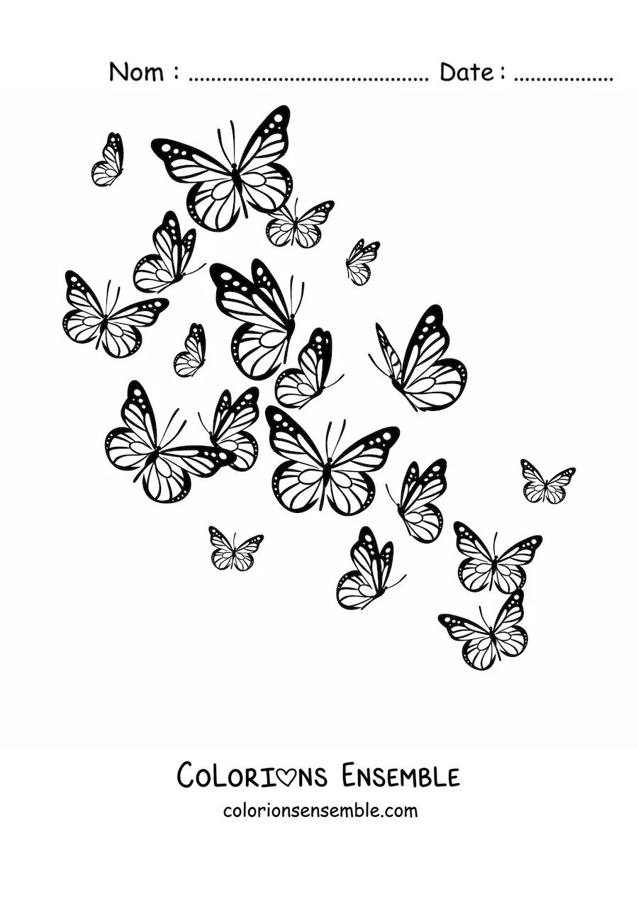 Image à colorier de plusieurs papillons en vol