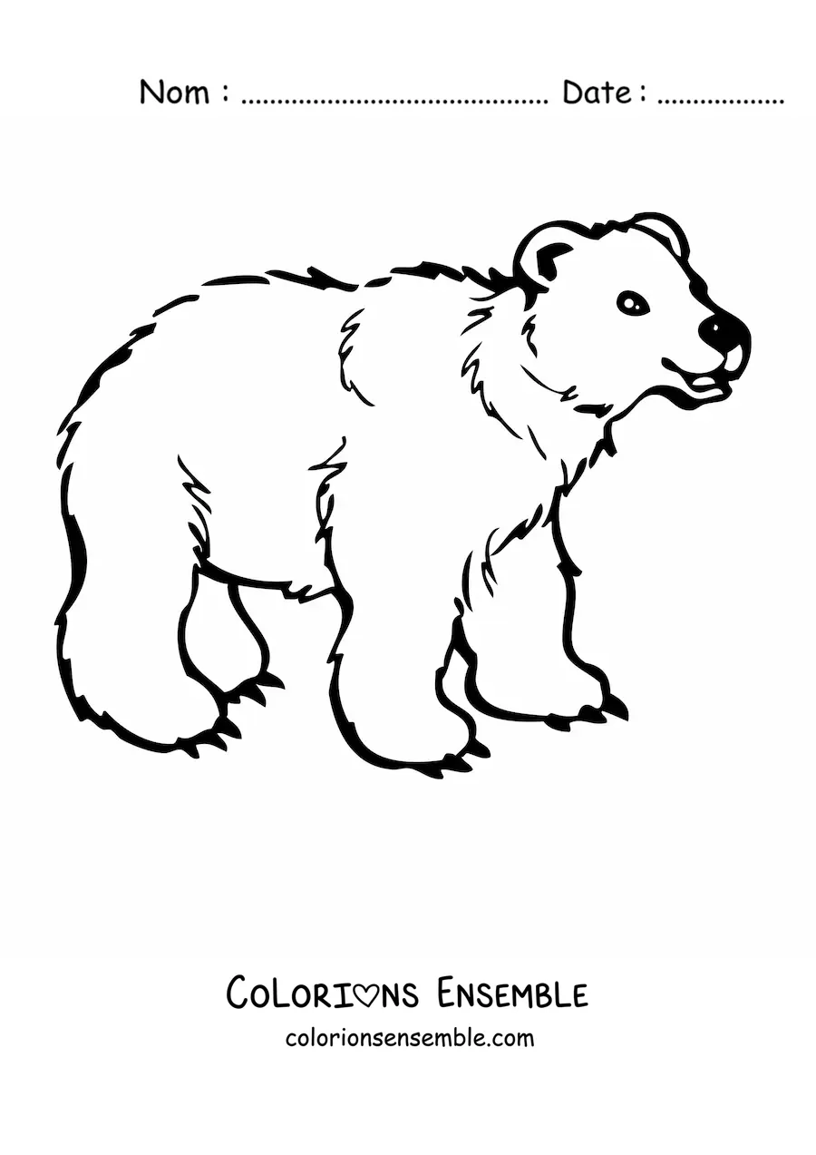 Image à colorier d’un ours rigolo souriant à quatre pattes