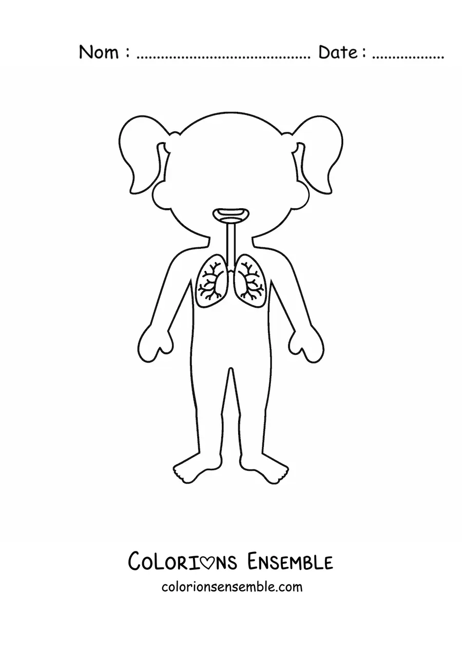 Image à colorier de l’emplacement des poumons dans la silhouette d’une petite fille