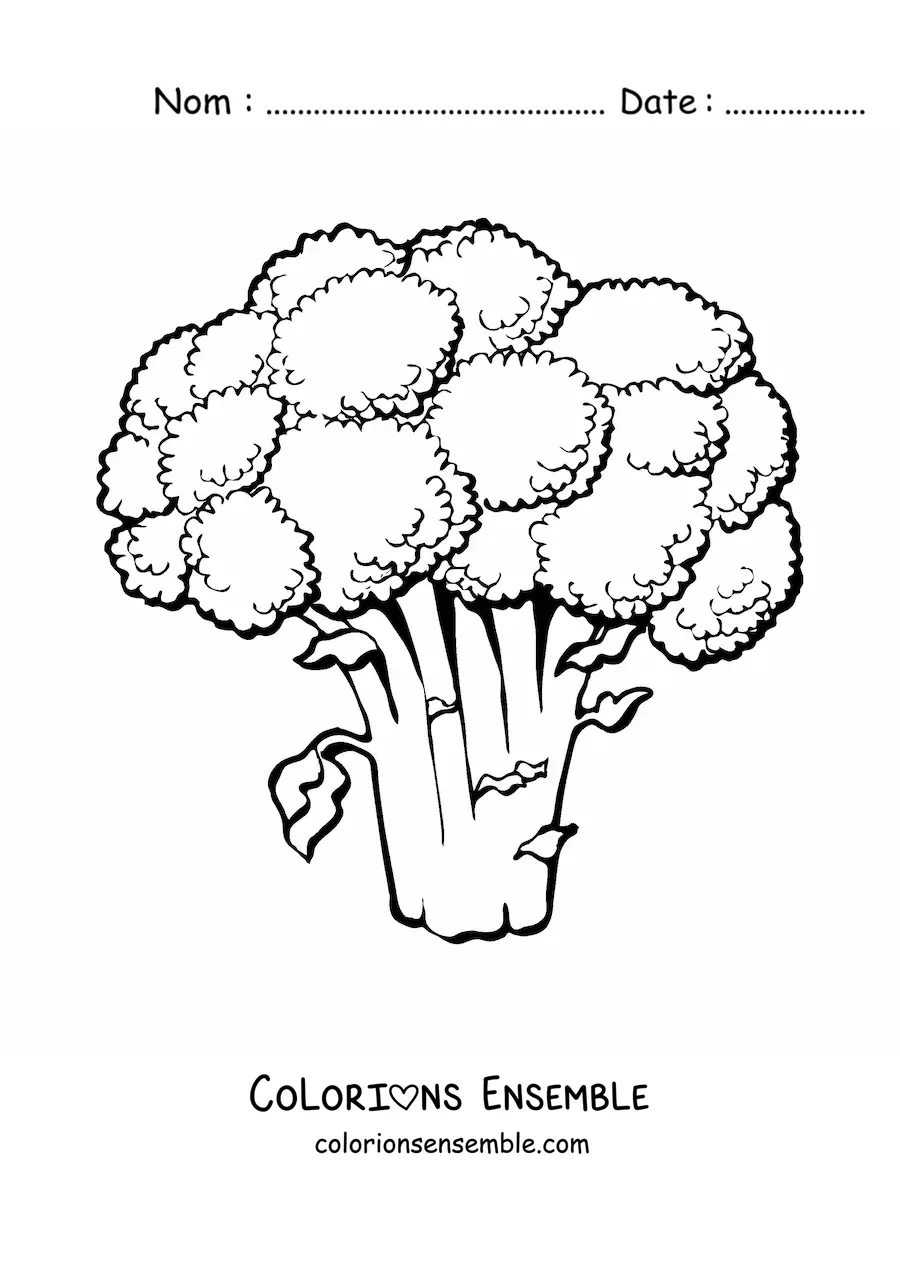 Image à colorier d’un brocoli
