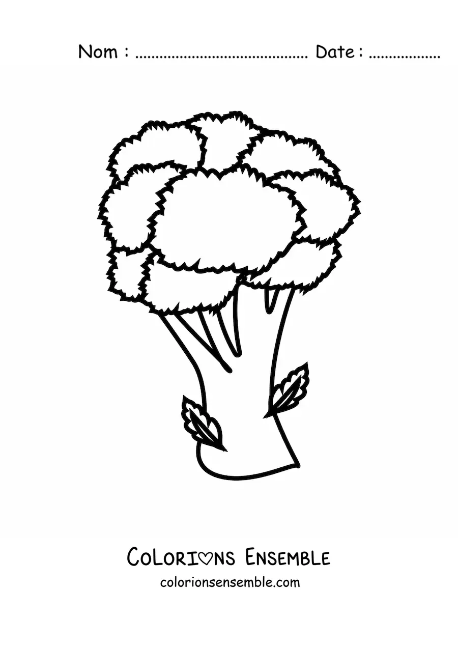 Image à colorier d’un brocoli avec des feuilles