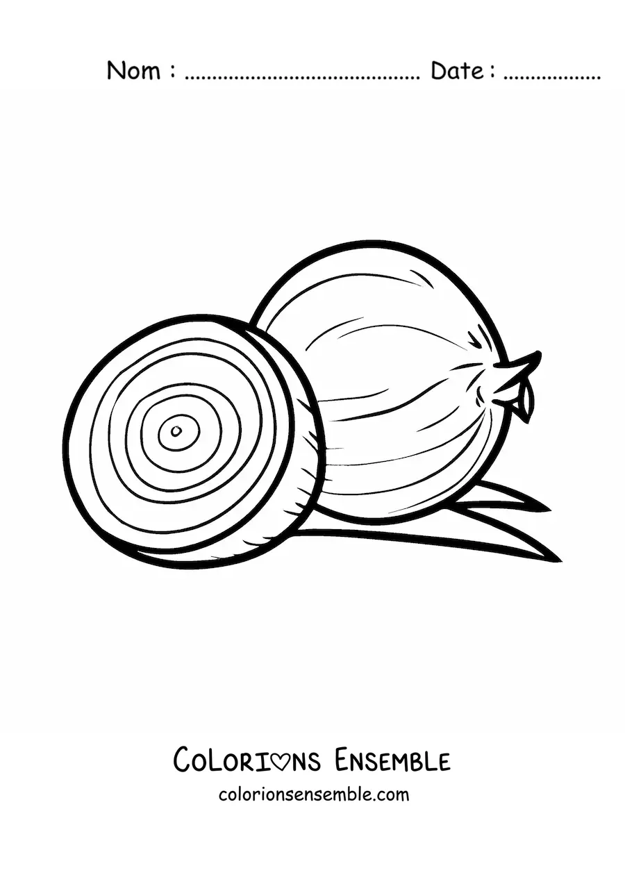 Image à colorier d’un oignon et de la moitié d’un autre