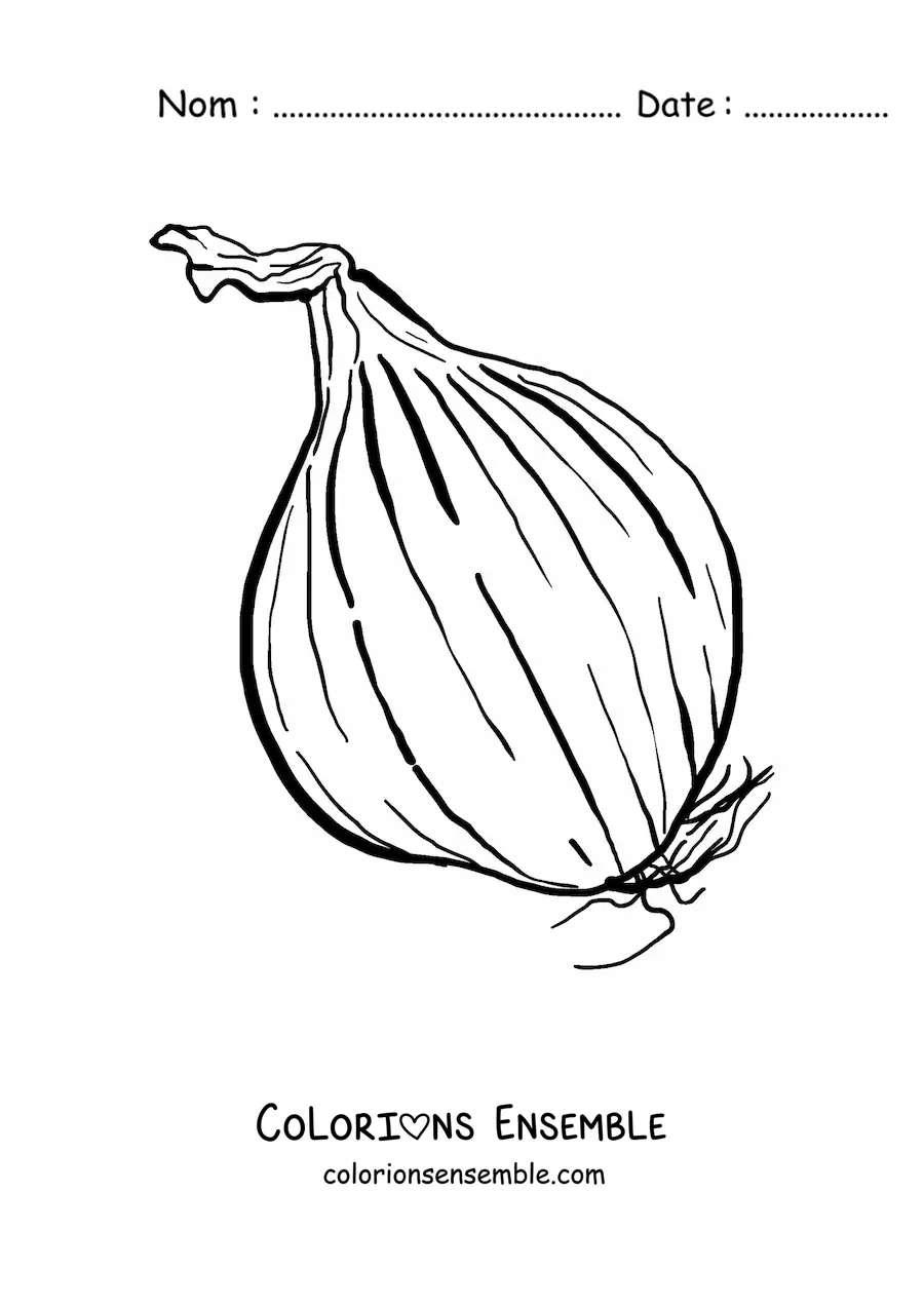 Image à colorier d’un gros oignon