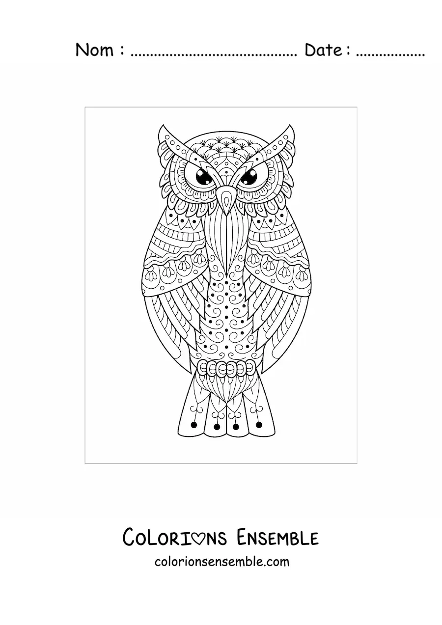 Mandala de hibou difficile à colorier