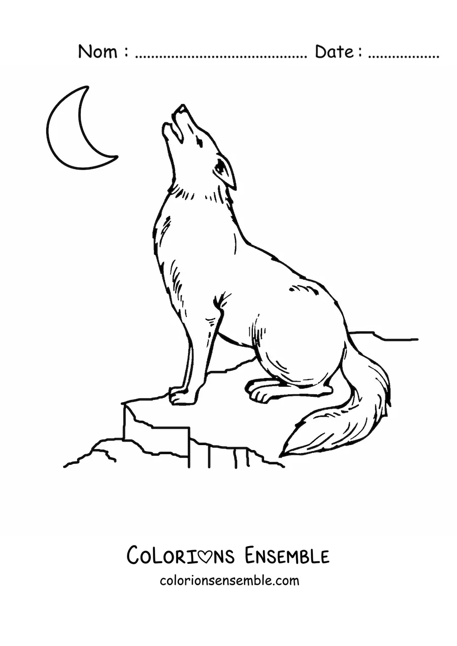 Image à colorier d’un loup assis sur un rocher hurlant à la lune
